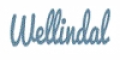 Sconti wellindal